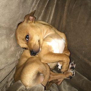 Meet your Posher, Ann